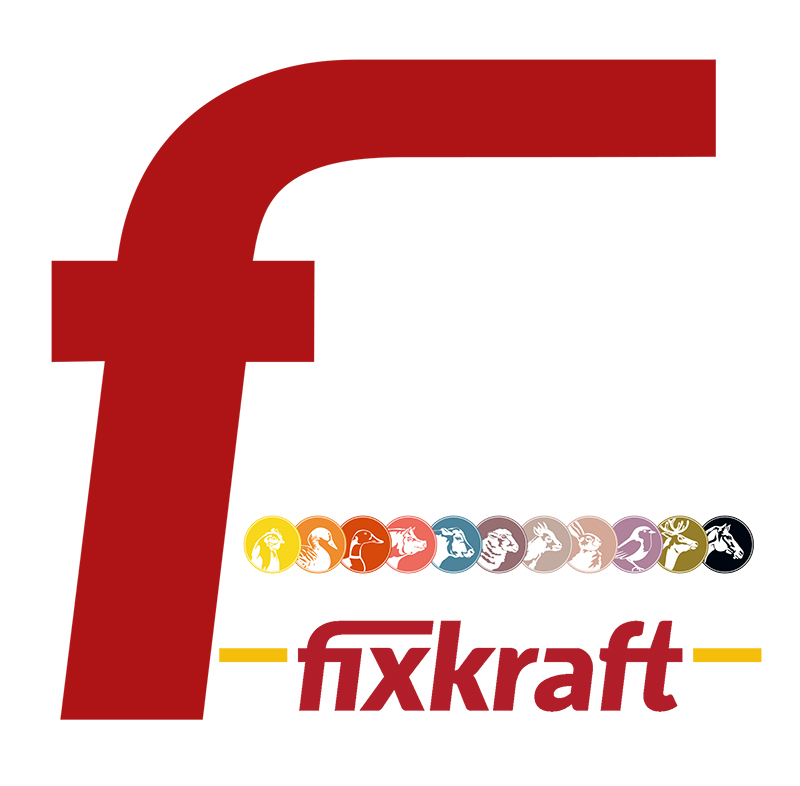 Logo Fixkraft | GGT Mitglied